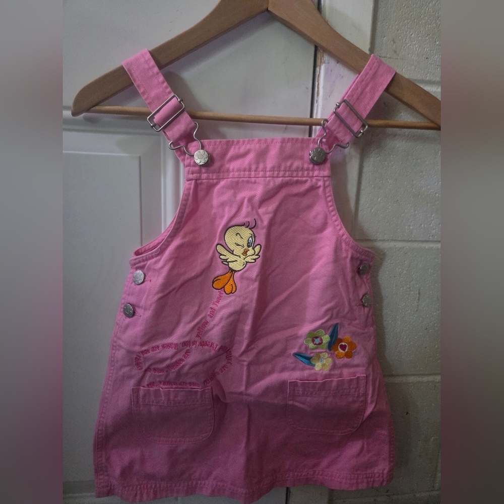 Vintage Warner Bros. Pink Dress Overalls with Cartoon Design